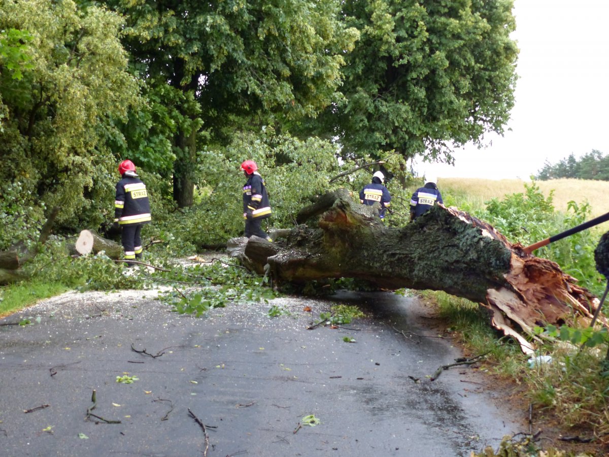 PSP: ponad 600 interwencji strażaków; niemal 3 tys. gospodarstw bez prądu