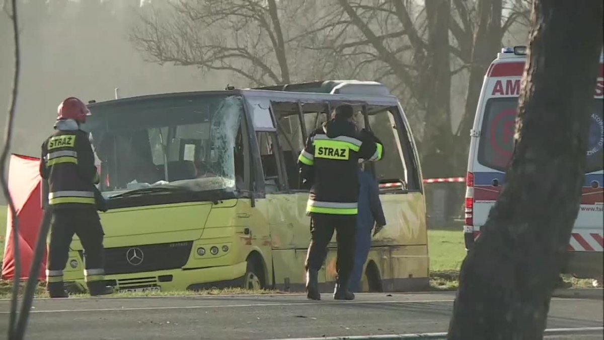 Zderzenie autobusu szkolnego z ciężarówką. Nie żyją dwie osoby, 17 rannych