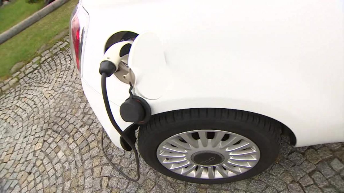 Lasy Państwowe otwierają stacje ładowania samochodów elektrycznych. Do 2020 roku mają być darmowe