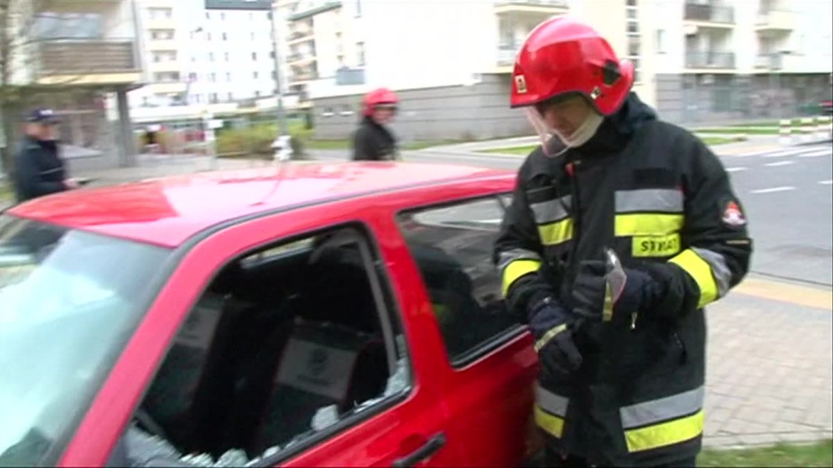 W trakcie upałów pamiętajmy o czworonogach