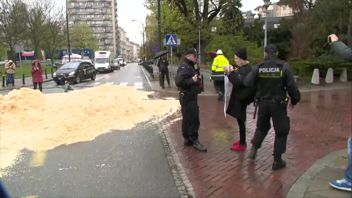 Góra trocin przed Sejmem. 