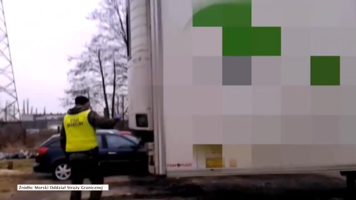 Znaleźli skradzioną naczepę, a w niej 20 ton mięsa z reniferów
