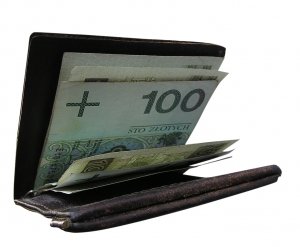 Polaka portfel własny: na co wydaje? Kto ma więcej, kto ma mniej?