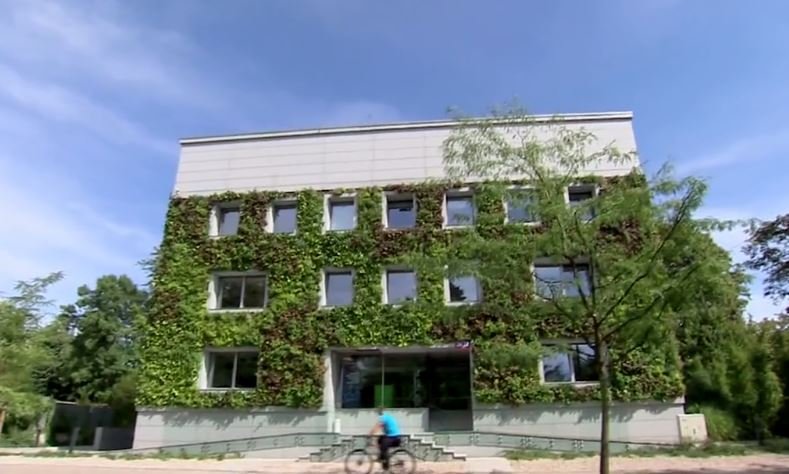 Pionowy ogród w Warszawie. 
