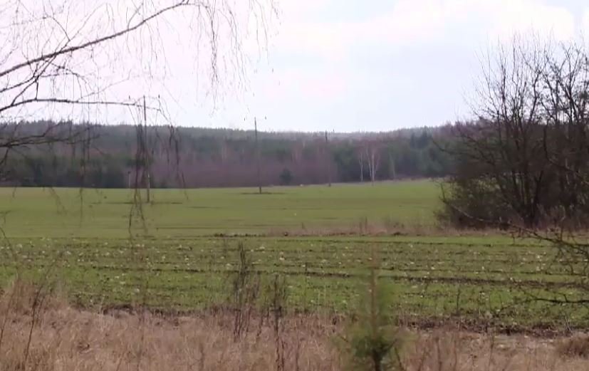Tatarzy z Kruszynian nie chcą fermy drobiu. Boją się, że fetor zniechęci turystów