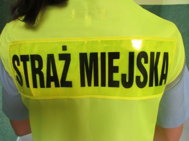Nowy pomysł straży miejskiej na rozwiązywanie sąsiedzkich sporów