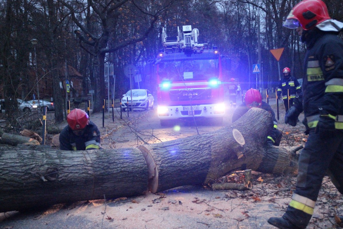 Poniedziałek wietrzny i deszczowy. Powieje z prędkością do 70 km/h