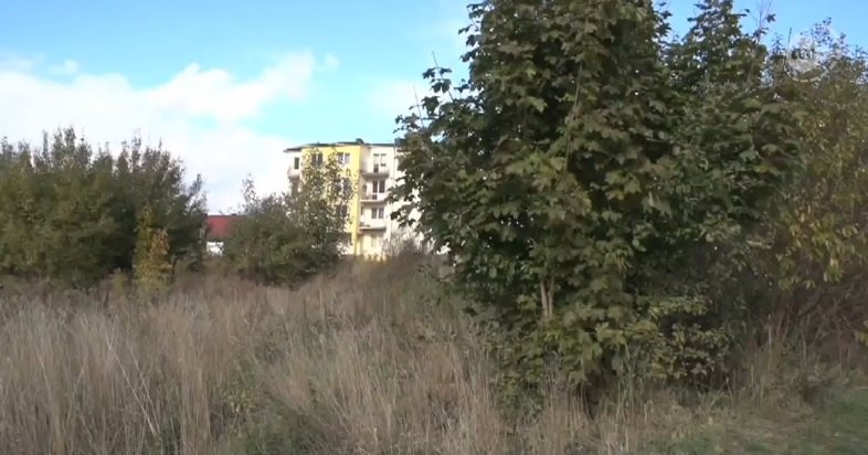 Kierowca autobusu znalazł martwy płód. Policja szuka matki
