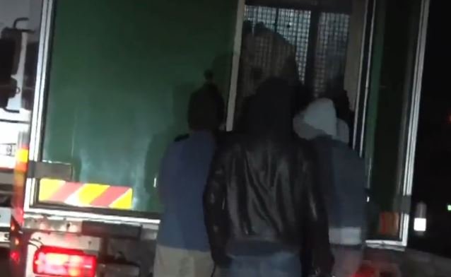 Imigrantów włamujących się do ciężarówki przywitał... niedźwiedź polarny