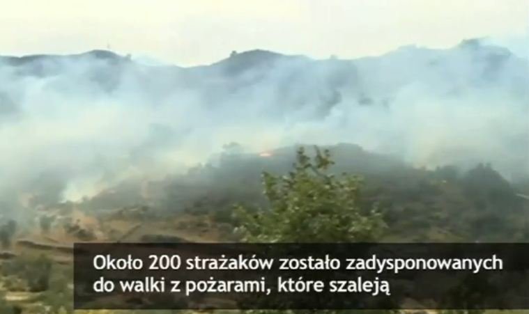 Setki strażaków walczą z pożarami lasów w Portugalii. Zginęła jedna osoba