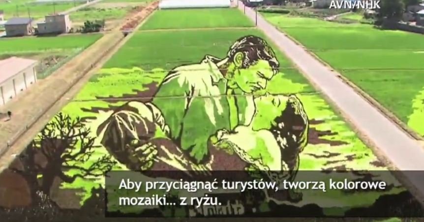 Niezwykłe dzieła sztuki z Japonii. Pola ryżowe jak wielkie obrazy