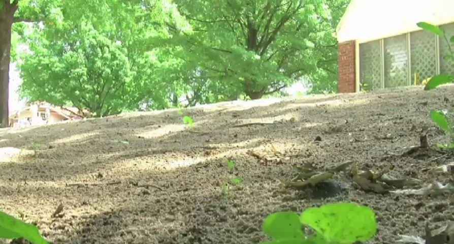 Mieszkanka Missouri musi zlikwidować plażę w swoim ogródku, bo pójdzie do więzienia