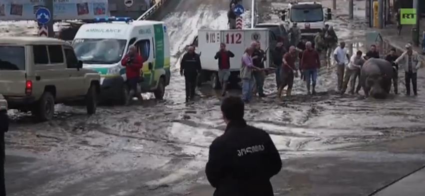 Lwy, tygrysy i hipopotamy na ulicach Tbilisi. Stolica Gruzji spustoszona przez powódź