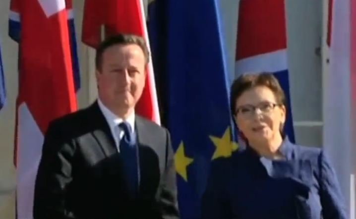 David Cameron rozmawia z Ewą Kopacz o reformie UE