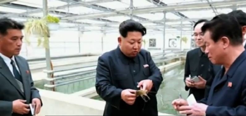 Kim Dzong Un niezadowolony z poziomu krajowej produkcji homarów