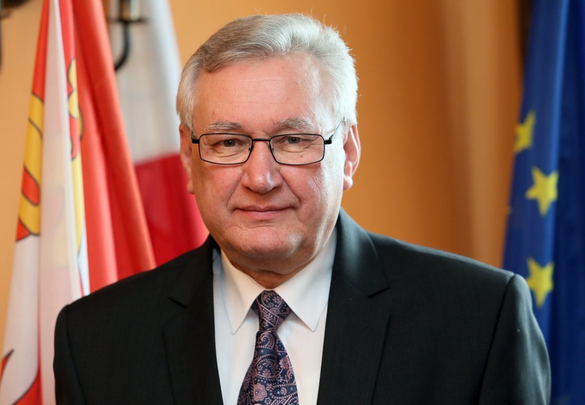 Tygrys czai się do skoku