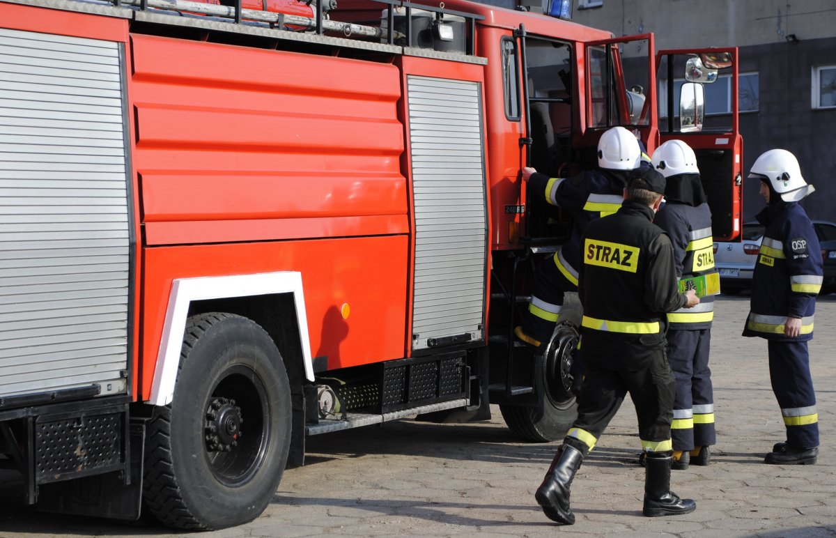 Wydobyli bombę z dna Odry
