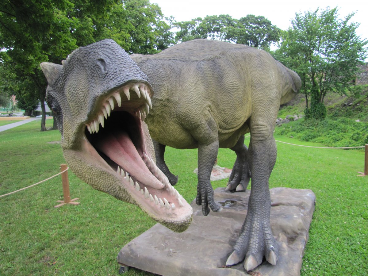 Naukowcy znaleźli cztery nowe gatunki dinozaurów