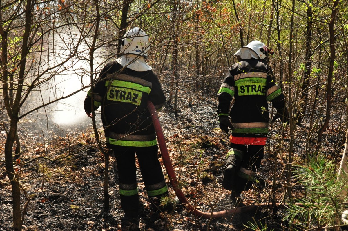 Ponad 11 tysięcy pożarów traw w ostatni weekend 