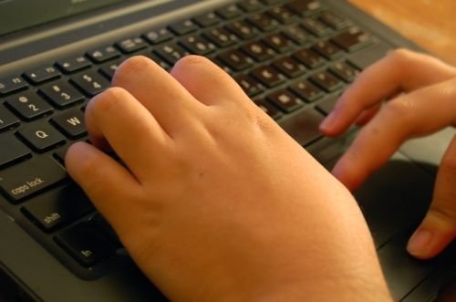 Bojkot towarów z Holandii za stronę internetową?