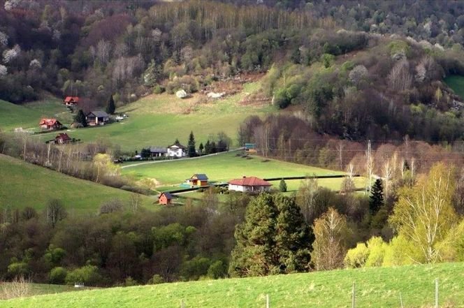Ukraińskie ekipy poszukiwawcze wkraczają do Polski – start prac 30 września