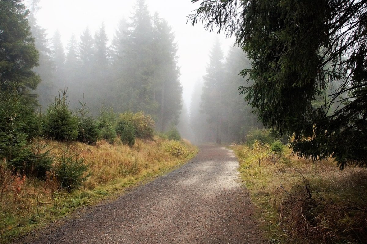 Falujący front atmosferyczny przyniesie deszcz i burze