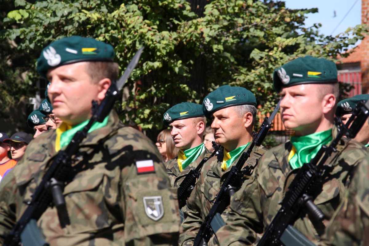 Polska armia: od marzeń o potędze do problemów z realizacją