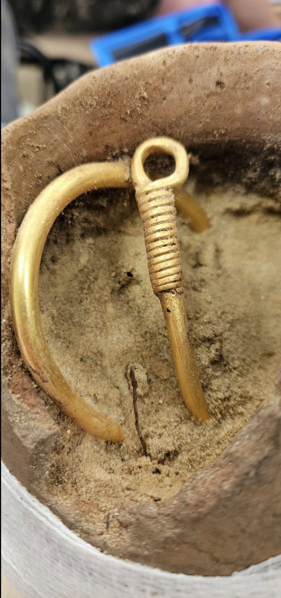 Sensacja archeologiczna: Naszyjnik sprzed 2000 lat znaleziony w lesie!