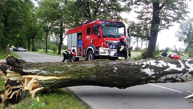 Strażacy w całej Polsce mają ręce pełne roboty 