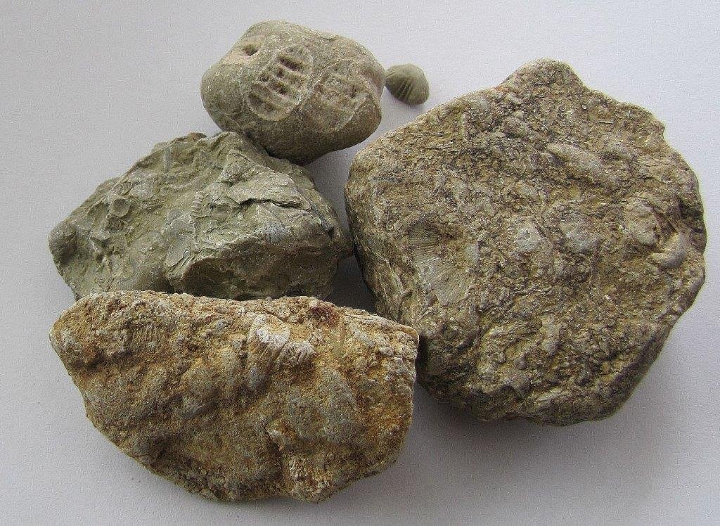 Nowa era geotermii?