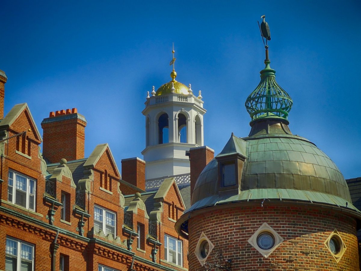 Trump: Harvard to kpina