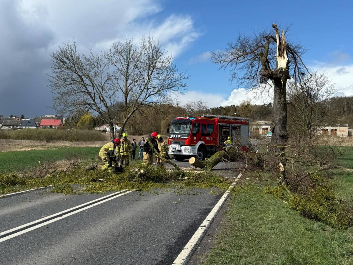 Ulewne deszcze i silny wiatr. Straż Pożarna walczy ze skutkami