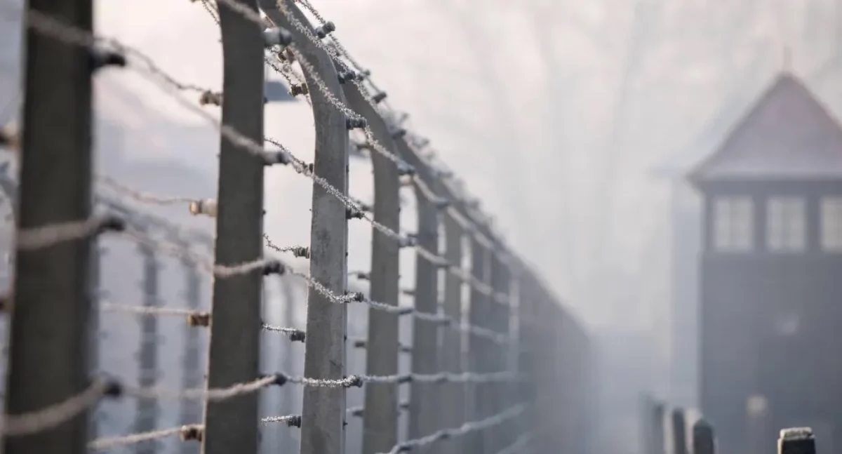 Niemcy handlują rzeczami ofiar Holocaustu. Wiceszef IPN: problem leży po ich stronie 