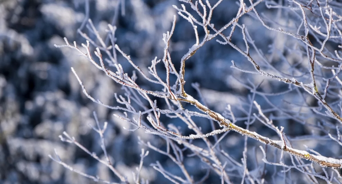 Chłód nadchodzi – temperatury sięgną nawet -10°C
