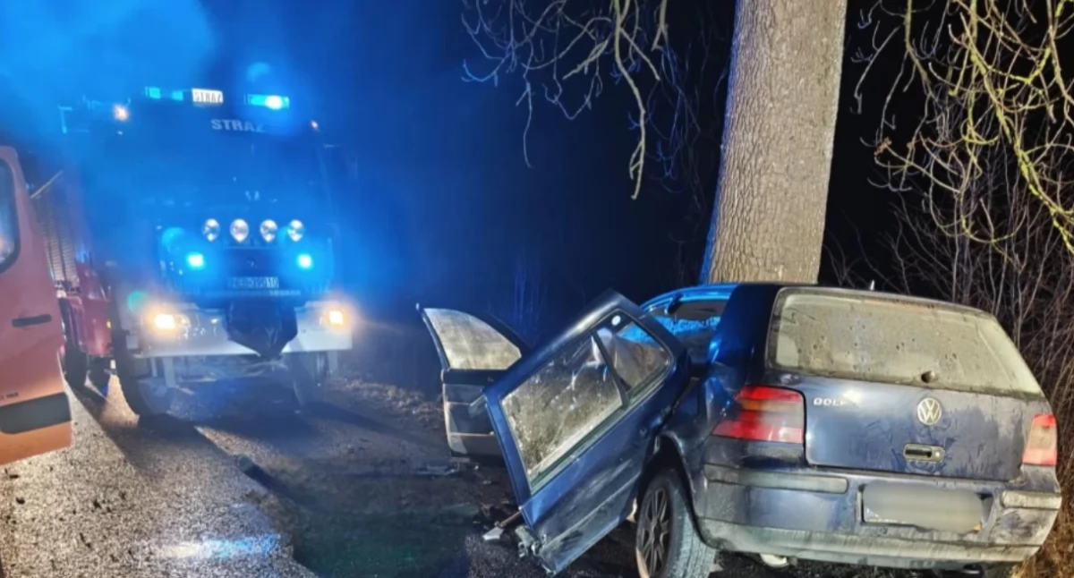 Auto uderzyło w drzewo, zginęło dwóch mężczyzn