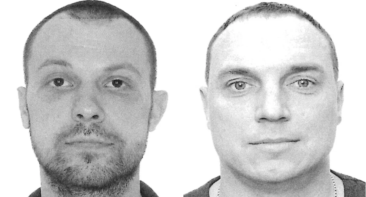 Interpol w akcji: czerwone noty po dywersji na kolei