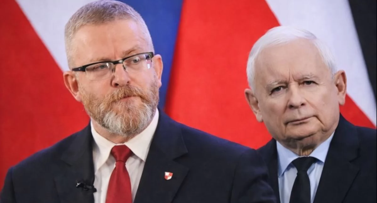 PiS a Braun 