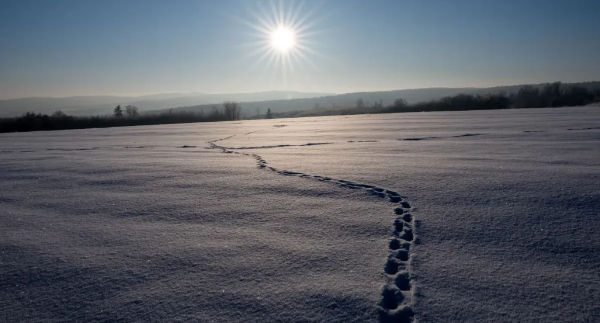 Temperatura spada. Co nas czeka w najbliższych dniach?