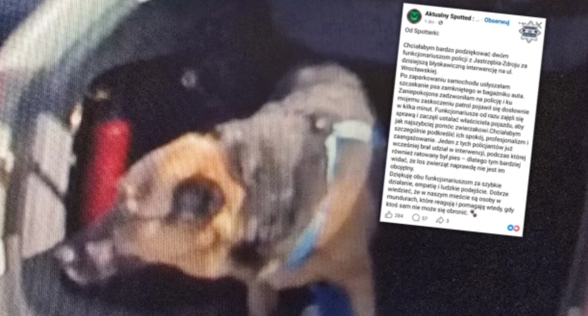 Zajrzała do auta i natychmiast zadzwoniła po policję