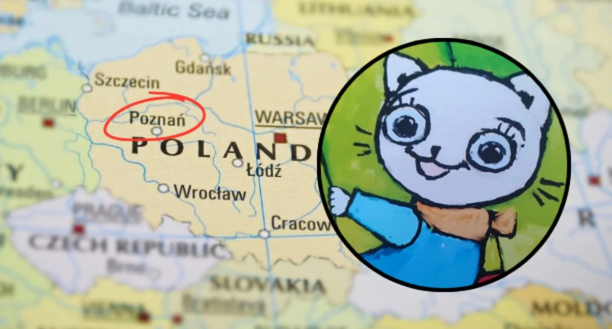 Tu trzeba będzie przyjechać. Kiciokociolandia wkrótce zaprasza! 