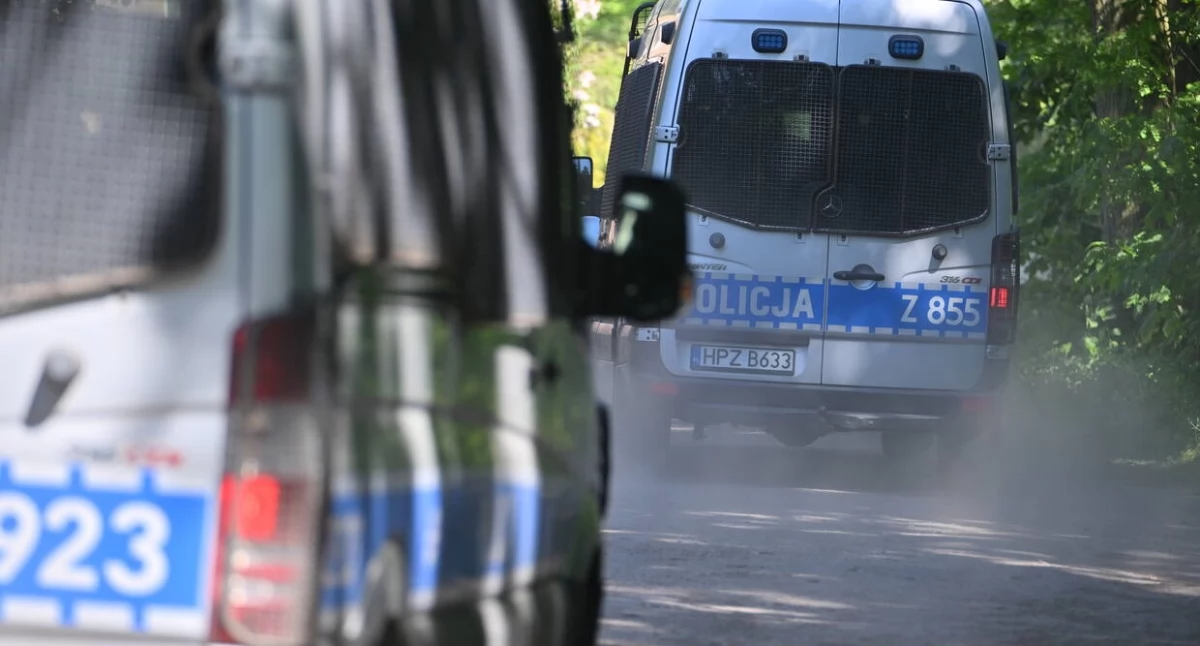 Jeden pies zagryzł drugiego. Sprawa trafiła do sądu