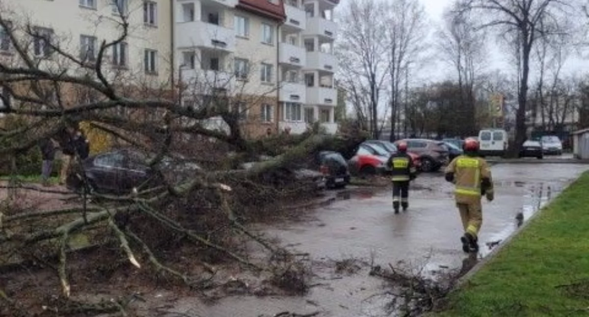 Wietrzny poniedziałek. Już ponad 2 tysiące interwencji strażaków 