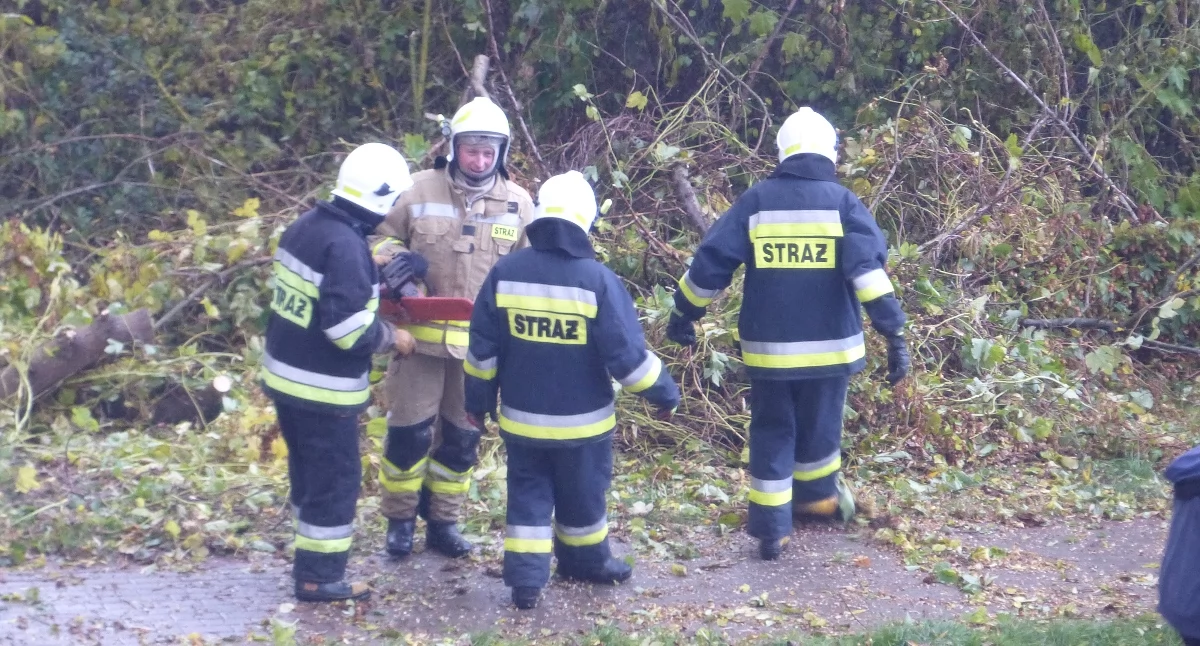Ponad 2000 interwencji strażaków w związku z silnym wiatrem. Na Pomorzu ok. 8 tys. odbiorców bez prądu