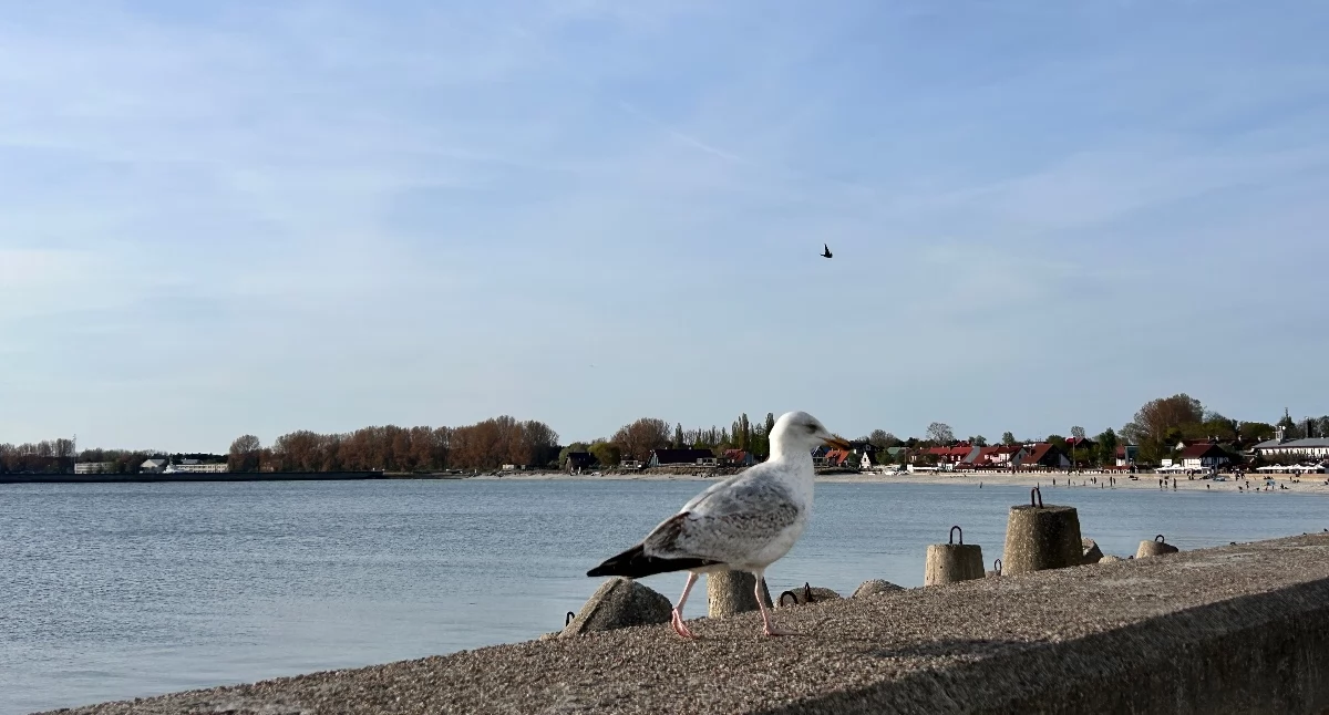 Słupki na termometrach powędrują w górę. Ale nie wszędzie!
