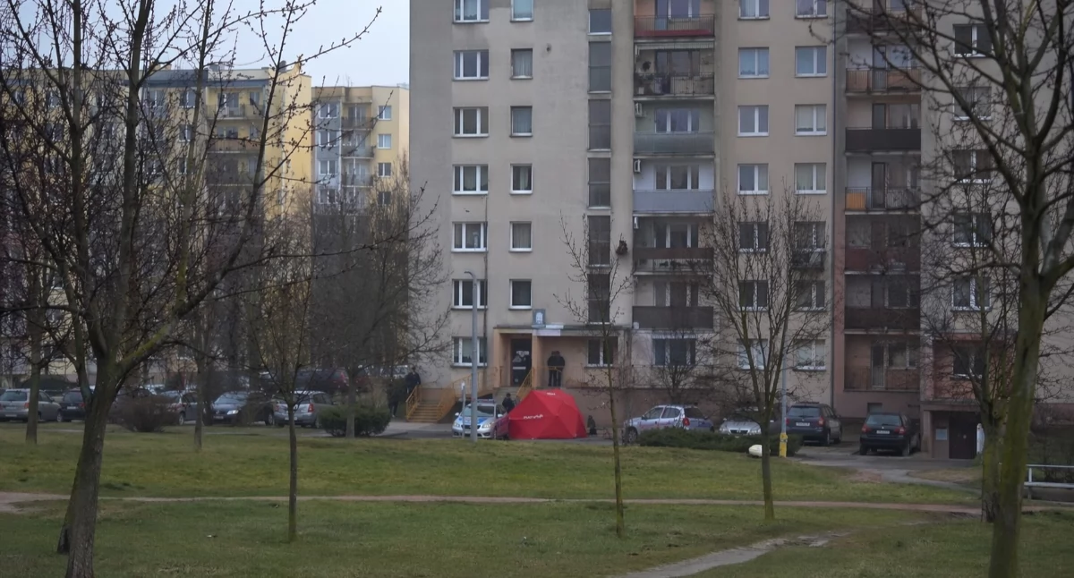 Nie żyje 25-latka i jej pies. Śledczy badają dramatyczny upadek z 13. piętra