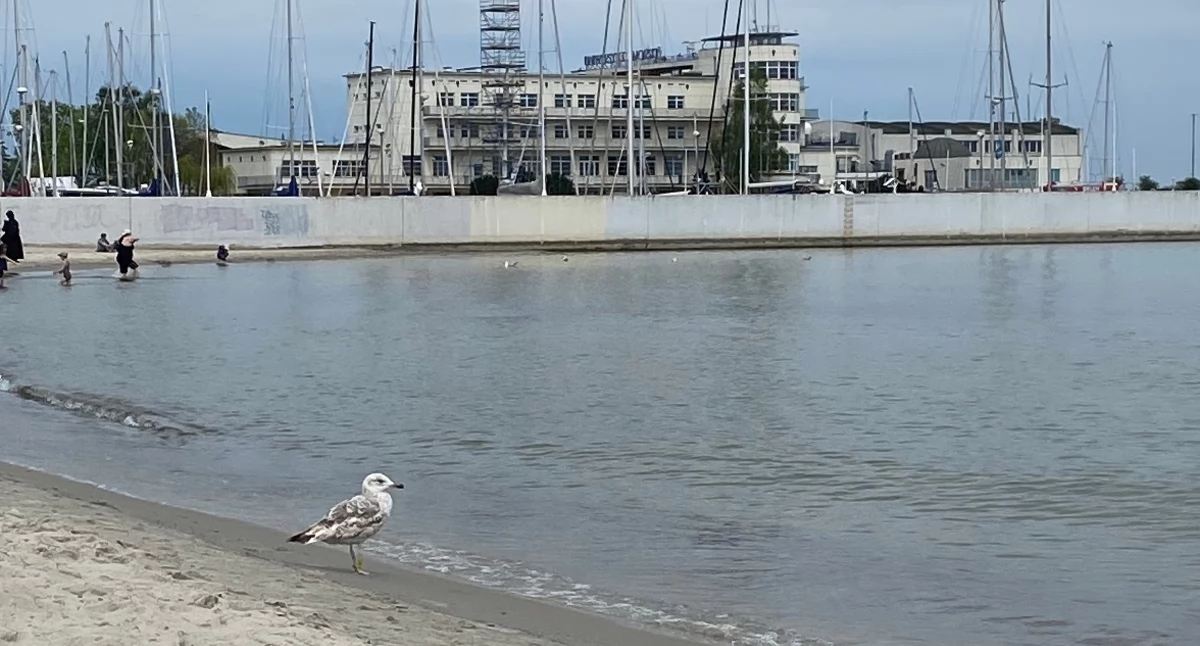 Nagły zwrot w pogodzie. Po cieple wróci chłód i deszcz ze śniegiem