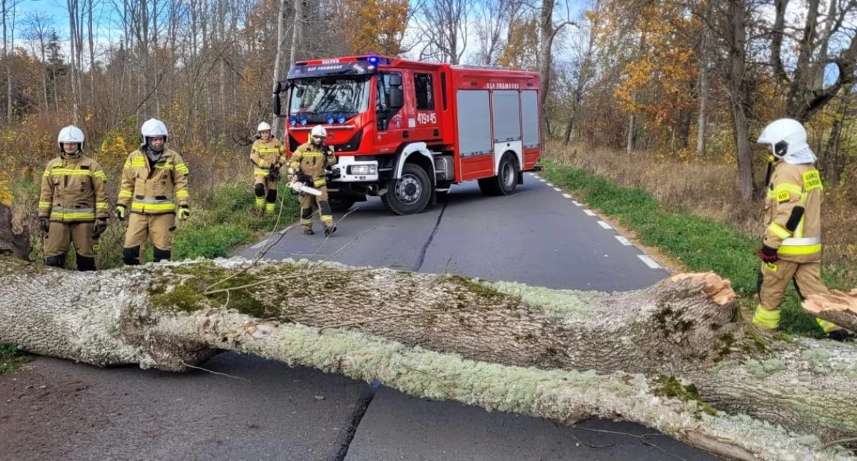 Silny wiatr uderzył w Polskę. Strażacy interweniowali ponad 2 tysiące razy