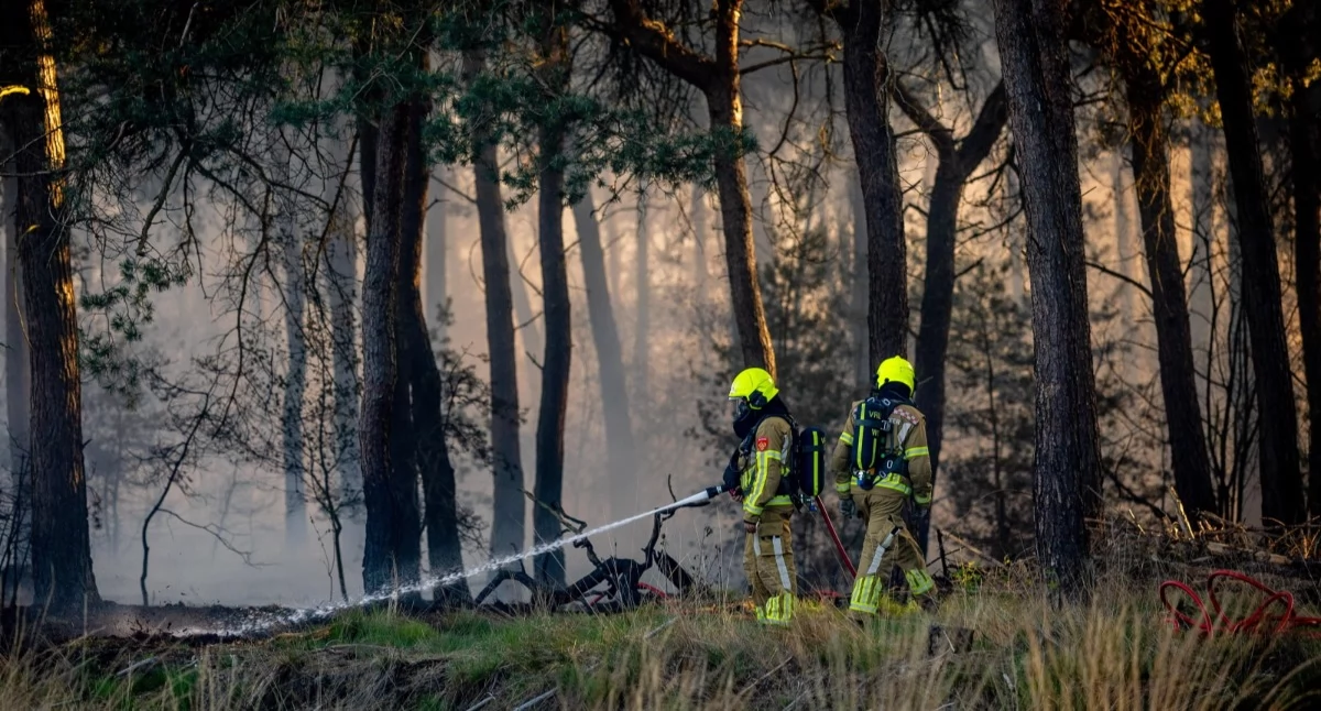 Holandia prosi UE o pomoc w gaszeniu pożarów