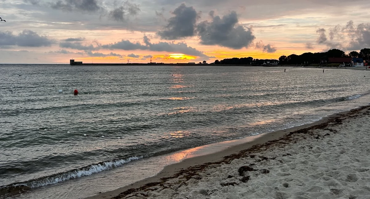 Ludzkie szczątki na plaży