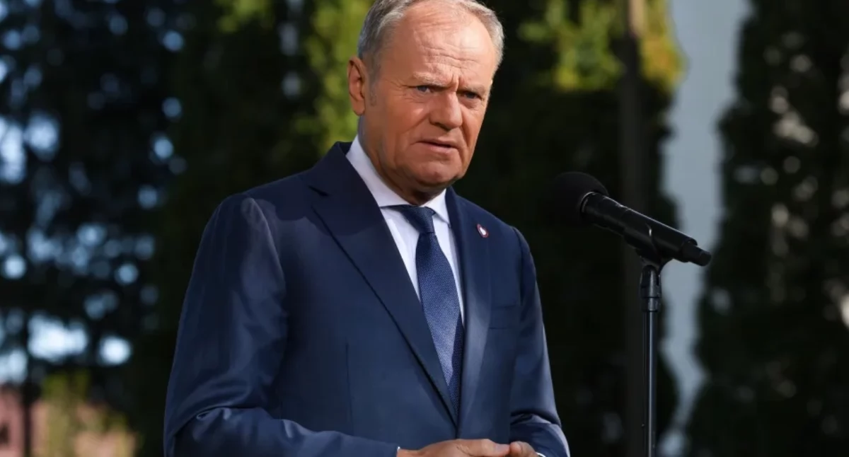 Rząd Donalda Tuska. Na plus czy minus? 